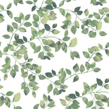 Latvus Green Peel & Stick Wallpaper with Botanical Leaves Pattern - York RMK11946WP