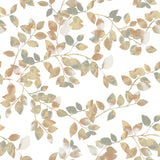 Latvus Orange Peel & Stick Wallpaper with Modern Botanical Leaves Pattern - RoomMates RMK11947WP - York
