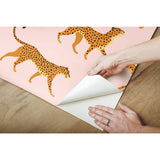 Cheetah Cheetah Pink Peel & Stick Wallpaper with Novelty Whimsical Animal Motif - York RMK11984RL