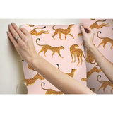 Cheetah Cheetah Pink Peel & Stick Wallpaper with Novelty Whimsical Animal Motif - York RMK11984RL