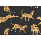 Cheetah Cheetah Orange Peel & Stick Wallpaper with Novelty Whimsical Animal Pattern - York RMK11986RL