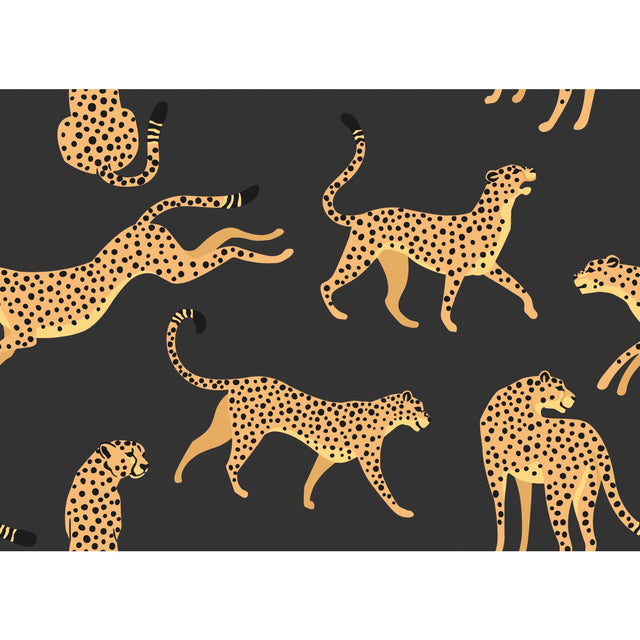 Cheetah Cheetah Orange Peel & Stick Wallpaper with Novelty Whimsical Animal Pattern - York RMK11986RL