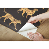 Cheetah Cheetah Orange Peel & Stick Wallpaper with Novelty Whimsical Animal Pattern - York RMK11986RL