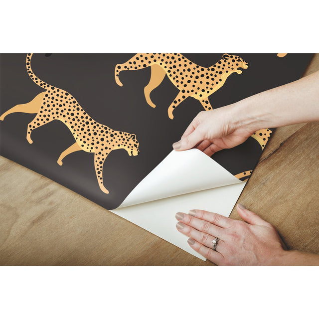 Cheetah Cheetah Orange Peel & Stick Wallpaper with Novelty Whimsical Animal Pattern - York RMK11986RL