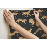 Cheetah Cheetah Orange Peel & Stick Wallpaper with Novelty Whimsical Animal Pattern - York RMK11986RL