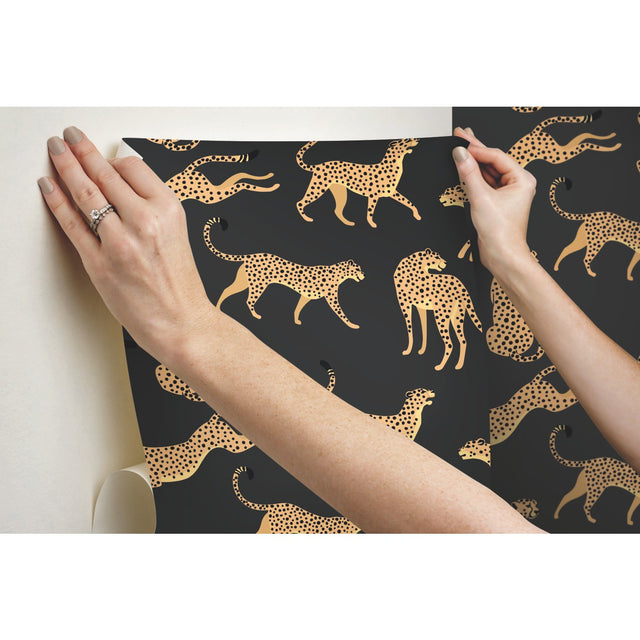 Cheetah Cheetah Orange Peel & Stick Wallpaper with Novelty Whimsical Animal Pattern - York RMK11986RL