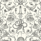Deep Sea Toile Black Peel & Stick Wallpaper with Coastal Ocean Toile Pattern - York RMK12001WP