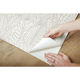 Tropical Leaves Sketch Beige Peel & Stick Wallpaper with Botanical Tropical Leaves Pattern - York RMK12047WP