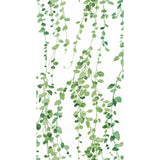 Hanging Watercolor Vines Green Peel & Stick Wallpaper with Botanical Nature Pattern - York RMK12060RL