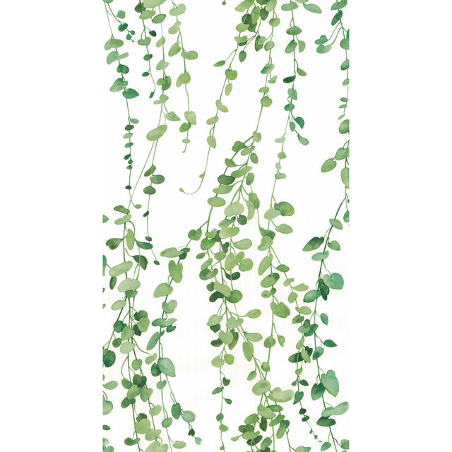 Hanging Watercolor Vines Green Peel & Stick Wallpaper with Botanical Nature Pattern - York RMK12060RL