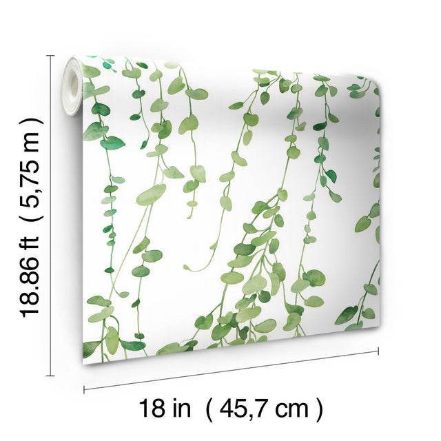 Hanging Watercolor Vines Green Peel & Stick Wallpaper with Botanical Nature Pattern - York RMK12060RL