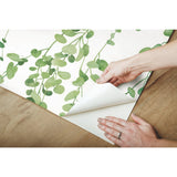 Hanging Watercolor Vines Green Peel & Stick Wallpaper with Botanical Nature Pattern - York RMK12060RL