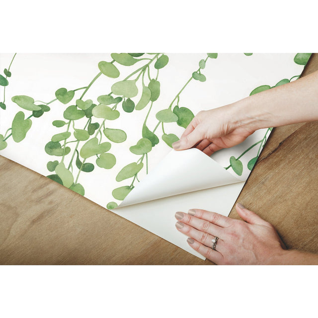 Hanging Watercolor Vines Green Peel & Stick Wallpaper with Botanical Nature Pattern - York RMK12060RL