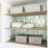 Hanging Watercolor Vines Green Peel & Stick Wallpaper with Botanical Nature Pattern - York RMK12060RL