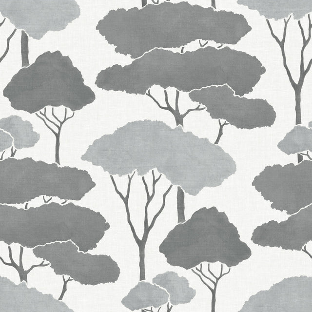 Umbrella Pines Grey Peel & Stick Wallpaper with Whimsical Botanical Trees Pattern - York RMK12062WP