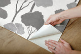 Umbrella Pines Grey Peel & Stick Wallpaper with Whimsical Botanical Trees Pattern - York RMK12062WP
