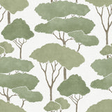 Umbrella Pines Green Peel & Stick Wallpaper with Whimsical Botanical Trees Pattern - York RMK12064WP