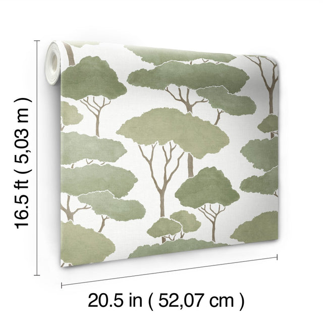 Umbrella Pines Green Peel & Stick Wallpaper with Whimsical Botanical Trees Pattern - York RMK12064WP