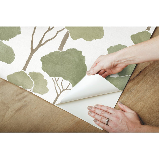 Umbrella Pines Green Peel & Stick Wallpaper with Whimsical Botanical Trees Pattern - York RMK12064WP