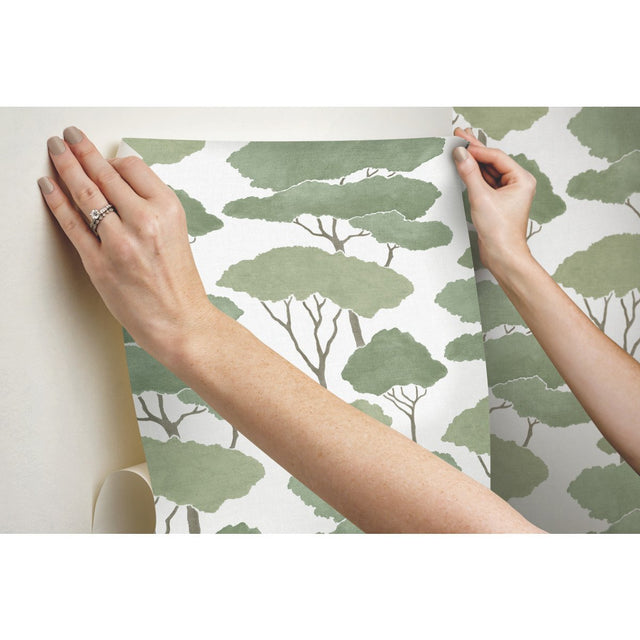 Umbrella Pines Green Peel & Stick Wallpaper with Whimsical Botanical Trees Pattern - York RMK12064WP