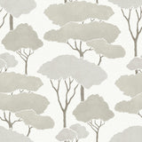Umbrella Pines Brown Peel & Stick Wallpaper with Whimsical Botanical Trees - York RMK12065WP