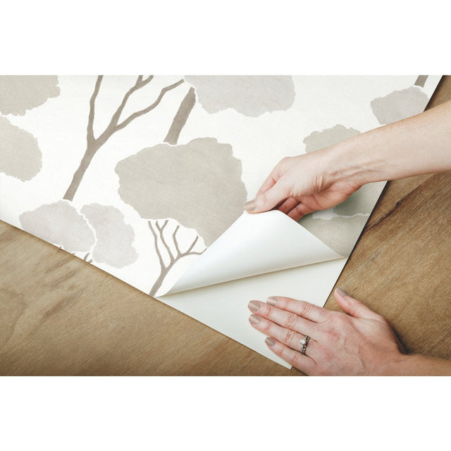 Umbrella Pines Brown Peel & Stick Wallpaper with Whimsical Botanical Trees - York RMK12065WP