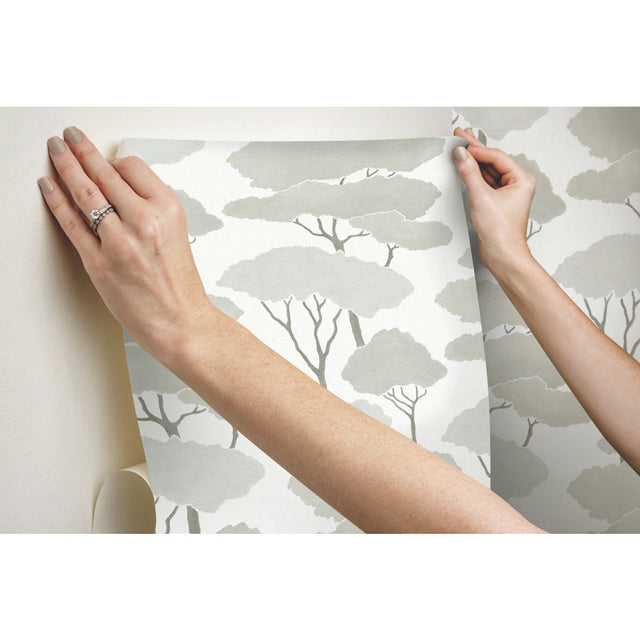 Umbrella Pines Brown Peel & Stick Wallpaper with Whimsical Botanical Trees - York RMK12065WP