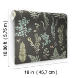 Fern Study Green Peel & Stick Wallpaper with Botanical Leaves Motif - York RMK12115RL