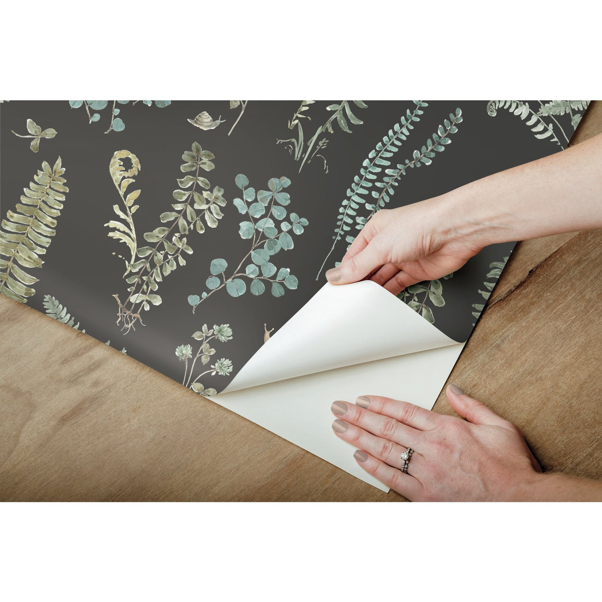 Fern Study Green Peel & Stick Wallpaper with Botanical Leaves Motif - York RMK12115RL