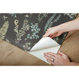 Fern Study Green Peel & Stick Wallpaper with Botanical Leaves Motif - York RMK12115RL