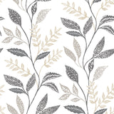 Cottage Vine Grey Peel & Stick Wallpaper with Whimsical Botanical Floral Pattern - York RMK12178PLW