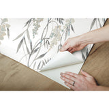 Nouveaux Wisteria Taupe Peel & Stick Wallpaper with Botanical Floral Pattern, Whimsical Style - York RMK12183PLW