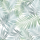 Tropical Vibe Blue Peel & Stick Wallpaper with Botanical Leaf Motif - York RMK12186PLW