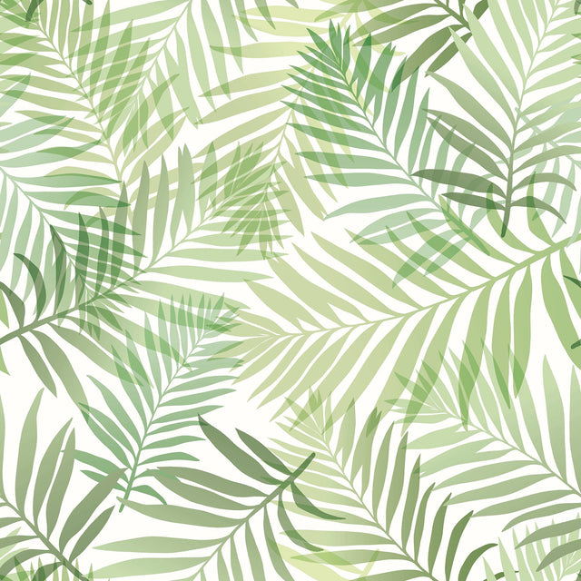 Tropical Vibe Green Peel & Stick Wallpaper with Botanical Leaves Motif - York RMK12188PLW