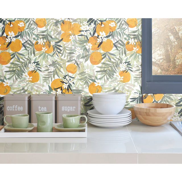 Orange Blossom Orange Peel & Stick Wallpaper with Fruit Motif - York RMK12199RL