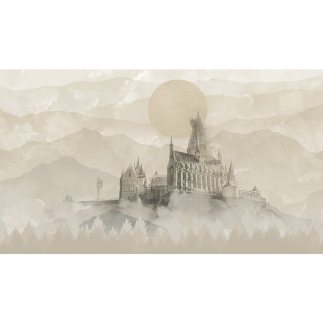 Harry Potter Hogwarts Castle Grey Peel & Stick Wall Mural with Novelty Licensed Kids Style - York RMK12279M