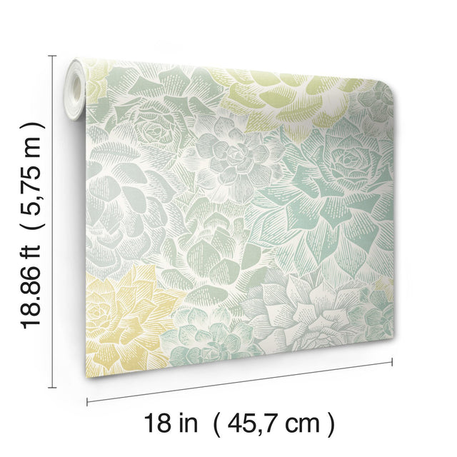 Succulent Plant Green Peel & Stick Wallpaper with Whimsical Botanical Novelty Pattern - York RMK12313RL