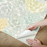 Succulent Plant Green Peel & Stick Wallpaper with Whimsical Botanical Novelty Pattern - York RMK12313RL