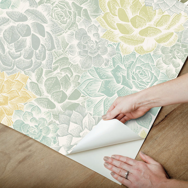Succulent Plant Green Peel & Stick Wallpaper with Whimsical Botanical Novelty Pattern - York RMK12313RL