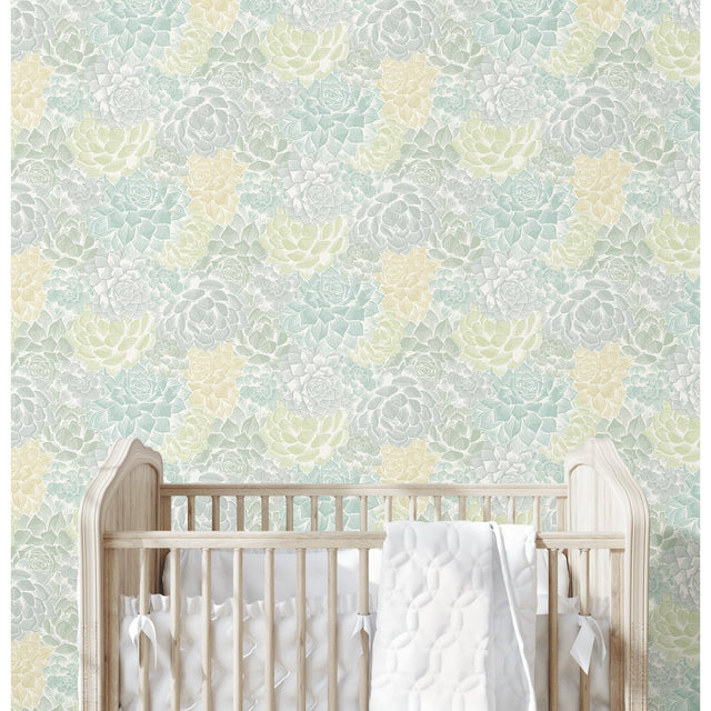 Succulent Plant Green Peel & Stick Wallpaper with Whimsical Botanical Novelty Pattern - York RMK12313RL