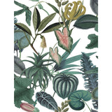 Tropical Green Peel & Stick Wallpaper with Botanical Novelty Pattern - York RMK12314RL