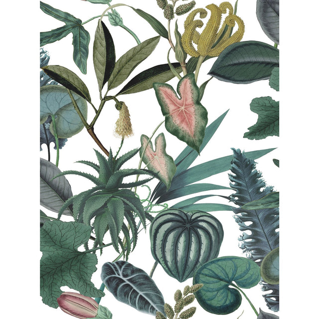 Tropical Green Peel & Stick Wallpaper with Botanical Novelty Pattern - York RMK12314RL