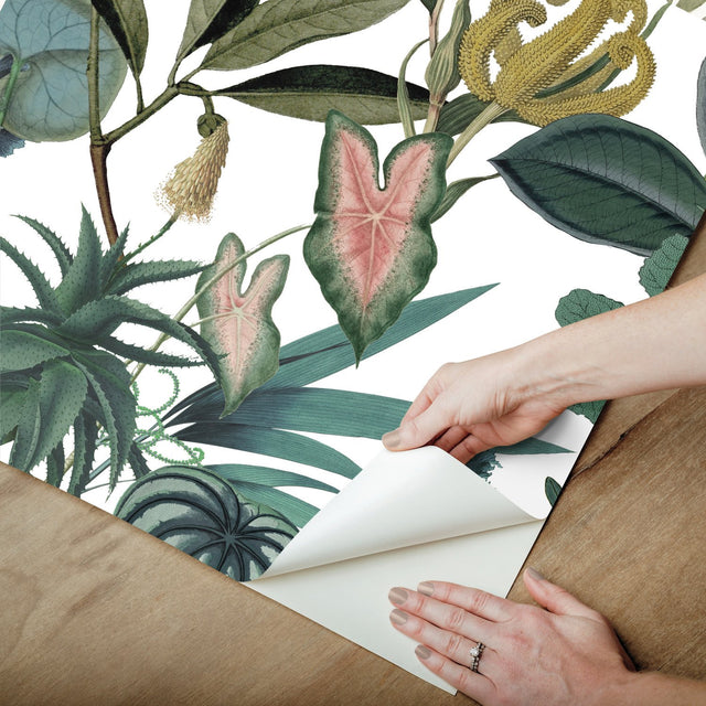 Tropical Green Peel & Stick Wallpaper with Botanical Novelty Pattern - York RMK12314RL