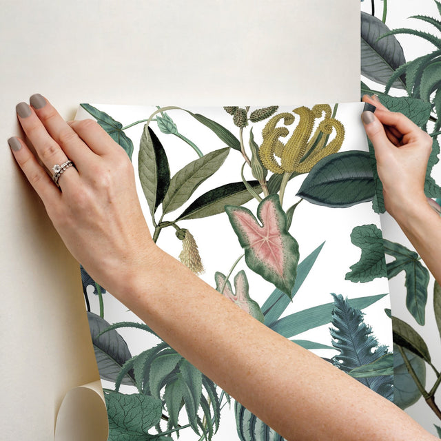 Tropical Green Peel & Stick Wallpaper with Botanical Novelty Pattern - York RMK12314RL