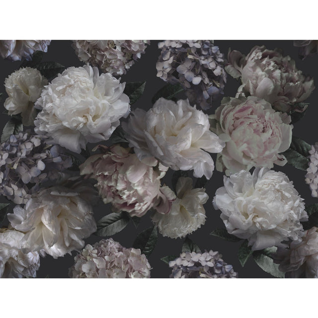Moonlit Garden Black Peel & Stick Wall Mural with Whimsical Botanical Floral Pattern - York RMK12322M
