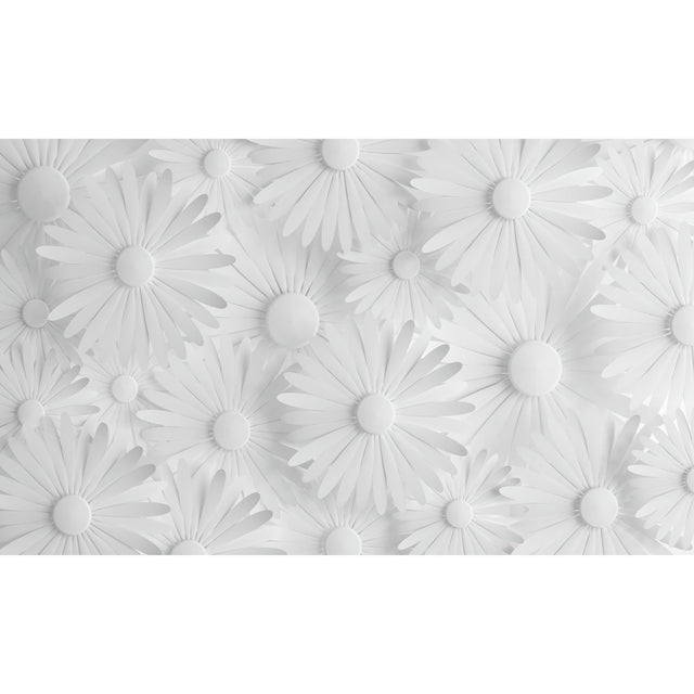 Modern Daisy Grey Peel & Stick Wall Mural