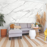Marble Grey Peel & Stick Wall Mural with Whimsical Abstract Novelty Pattern - York RMK12328M