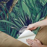 Jurassic Park Multicolor Peel & Stick Wall Mural with Dinosaur Scene - York RMK12336M