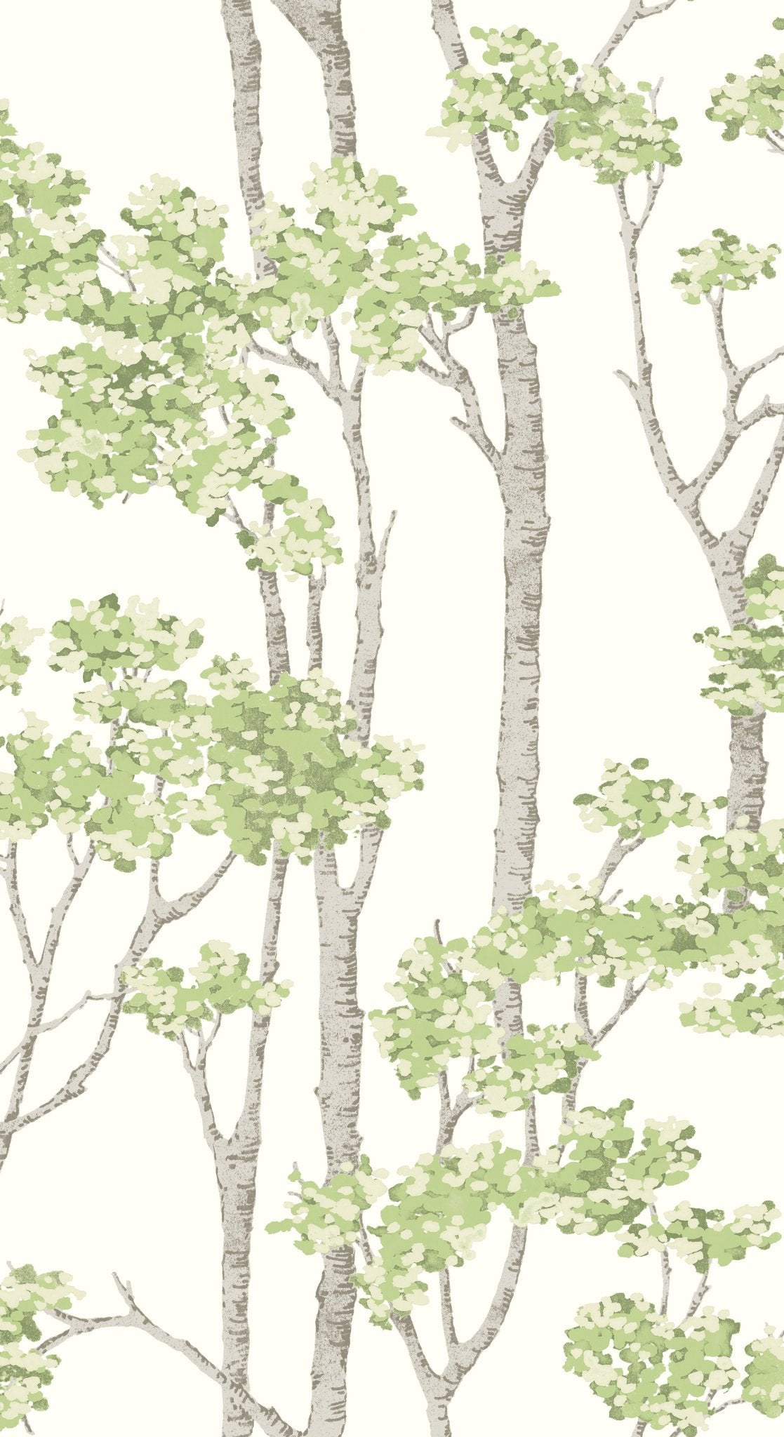 Birch Grove Green Peel & Stick Wallpaper with Botanical Birch Tree Pattern - York RMK12342PLW