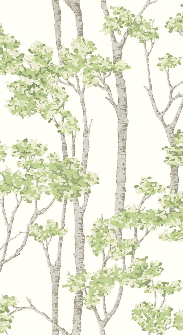 Birch Grove Green Peel & Stick Wallpaper with Botanical Birch Tree Pattern - York RMK12342PLW